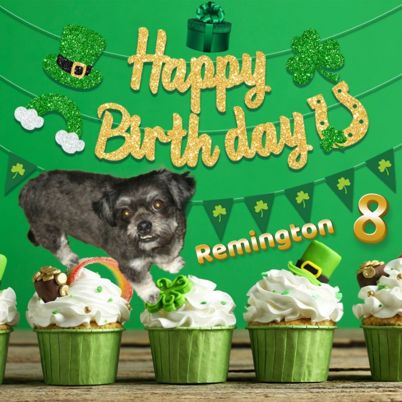 Remington of the ups98 family