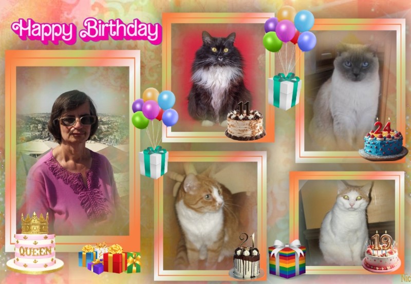 Angel Kibbles of the ups98 family