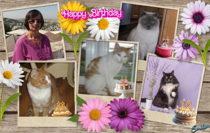 Angel Kibbles of the ups98 family