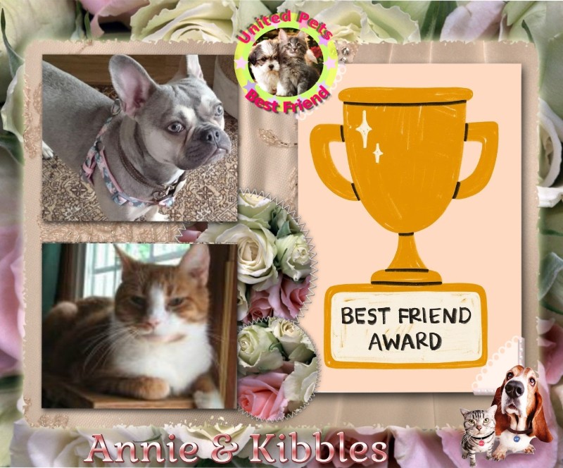 Angel Kibbles of the ups98 family