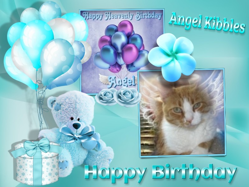 Angel Kibbles of the ups98 family