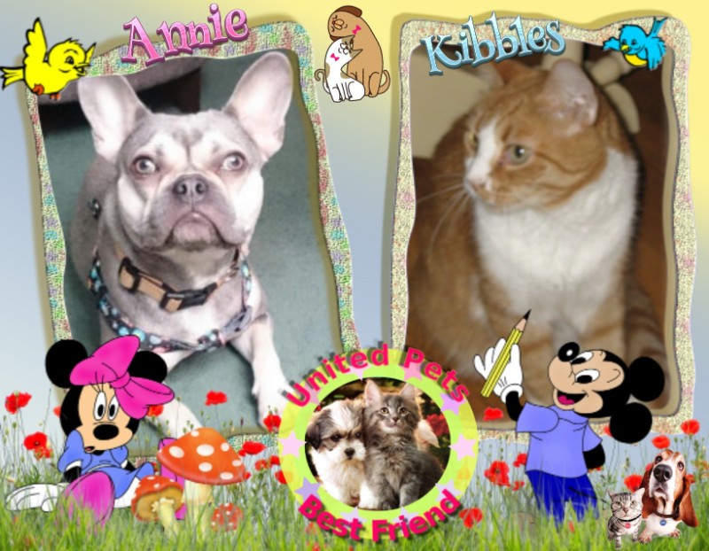 Angel Kibbles of the ups98 family
