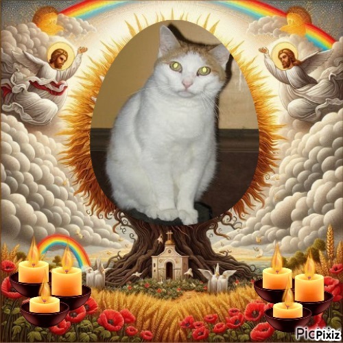 Angel Francis of the ups98 family