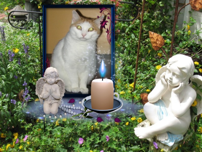 Angel Francis of the ups98 family