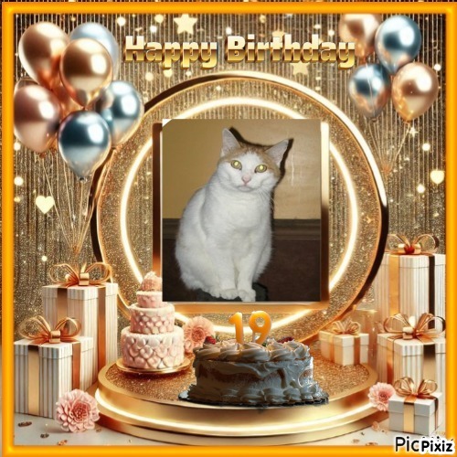 Angel Francis of the ups98 family