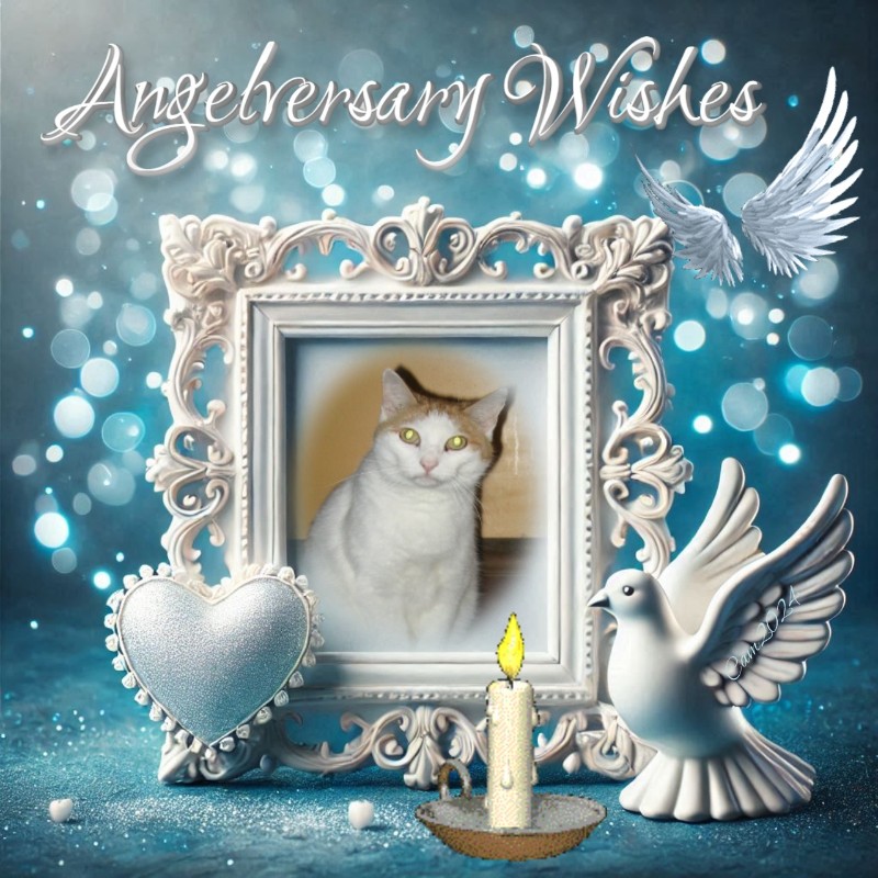 Angel Francis of the ups98 family