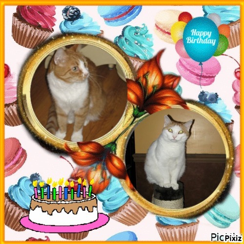 Angel Francis of the ups98 family