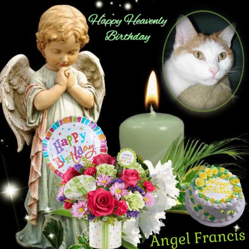 Angel Francis of the ups98 family