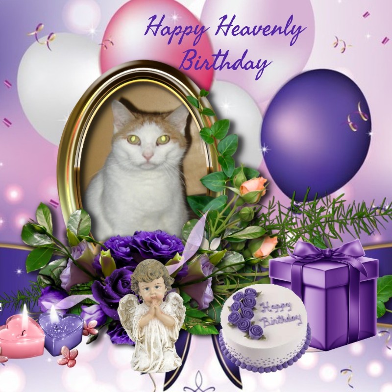 Angel Francis of the ups98 family