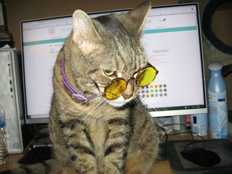 ups98 uploaded   6 year/s ago