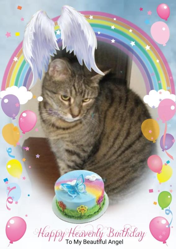 Angel Trooper Tater Tot of the ups98 family