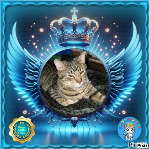 Angel Trooper Tater Tot of the ups98 family