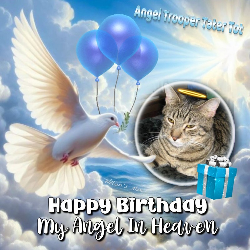 Angel Trooper Tater Tot of the ups98 family