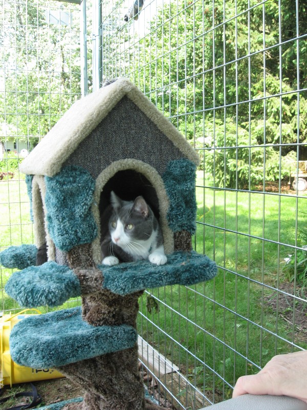 ups98 uploaded   6 year/s ago