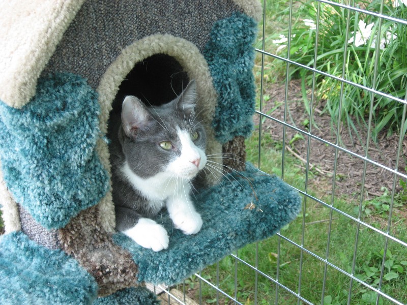 ups98 uploaded   6 year/s ago