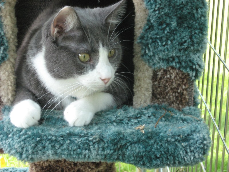 ups98 uploaded   6 year/s ago