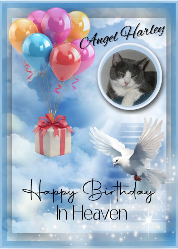 ups98 uploaded   18  day/s  ago