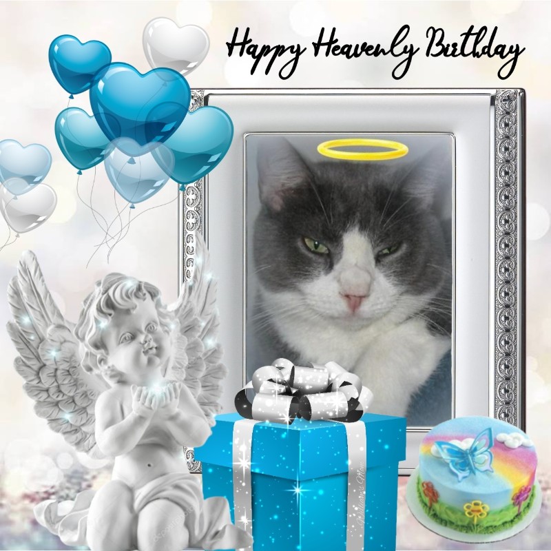 ups98 uploaded   18  day/s  ago