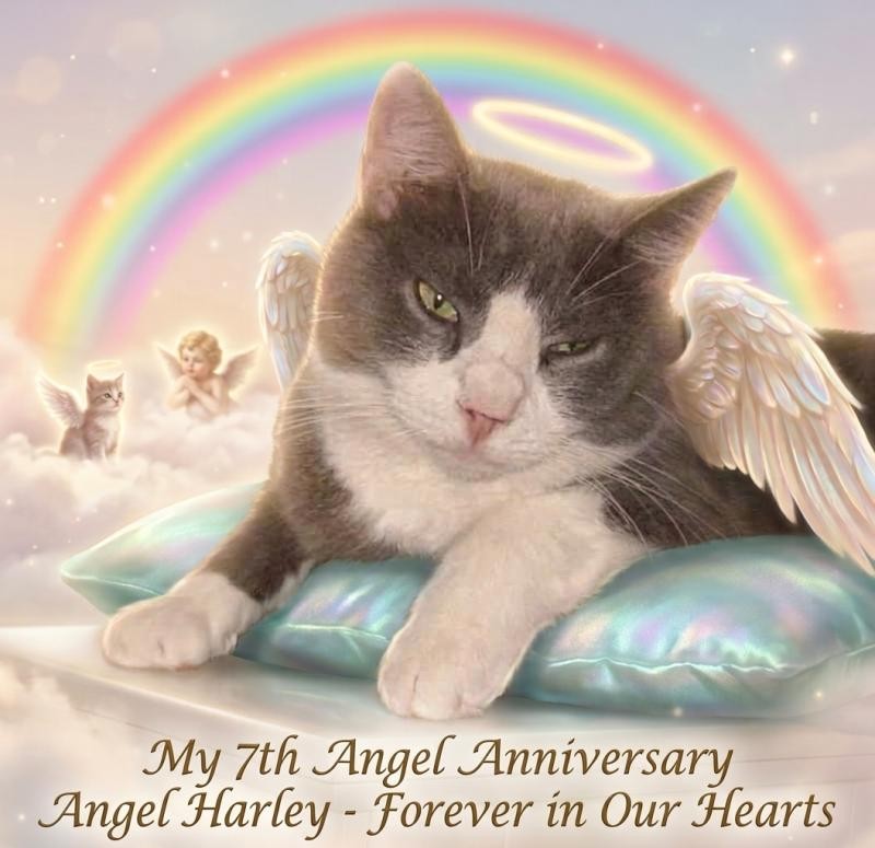 Angel Harley of the ups98 family