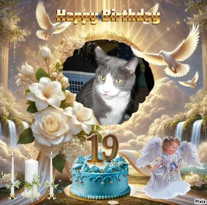 ups98 uploaded   18  day/s  ago