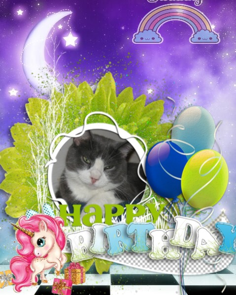 ups98 uploaded   16  day/s  ago