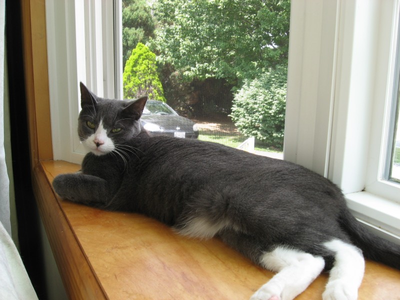 ups98 uploaded   6 year/s ago