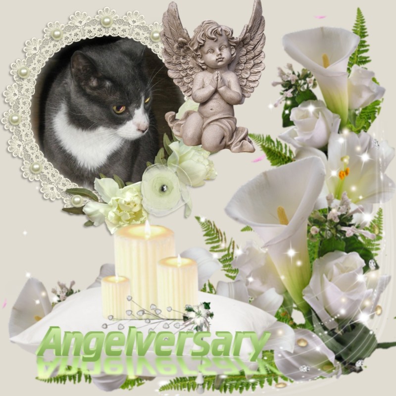 Angel Davidson of the ups98 family