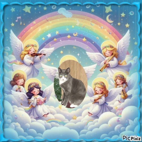 Angel Davidson of the ups98 family