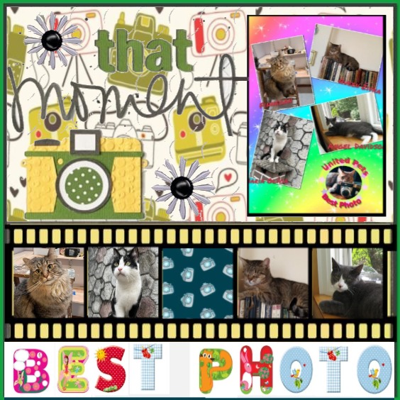 Angel Davidson of the ups98 family