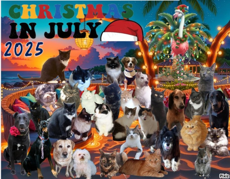 Angel Davidson of the ups98 family