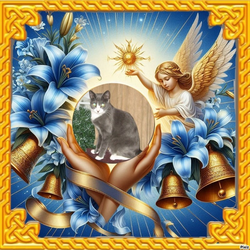 Angel Davidson of the ups98 family