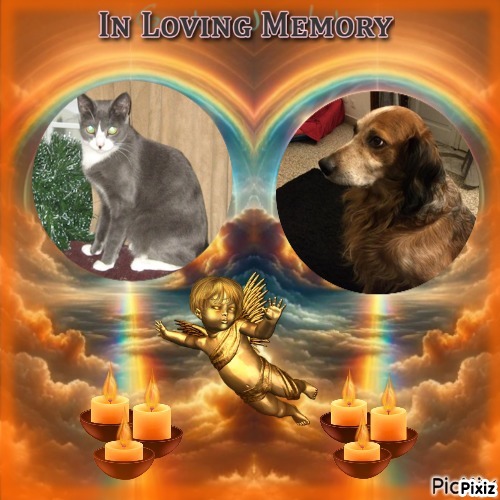 Angel Davidson of the ups98 family