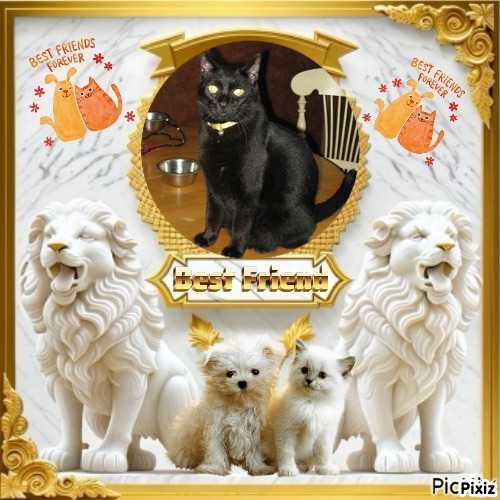 Angel Kahless of the ups98 family