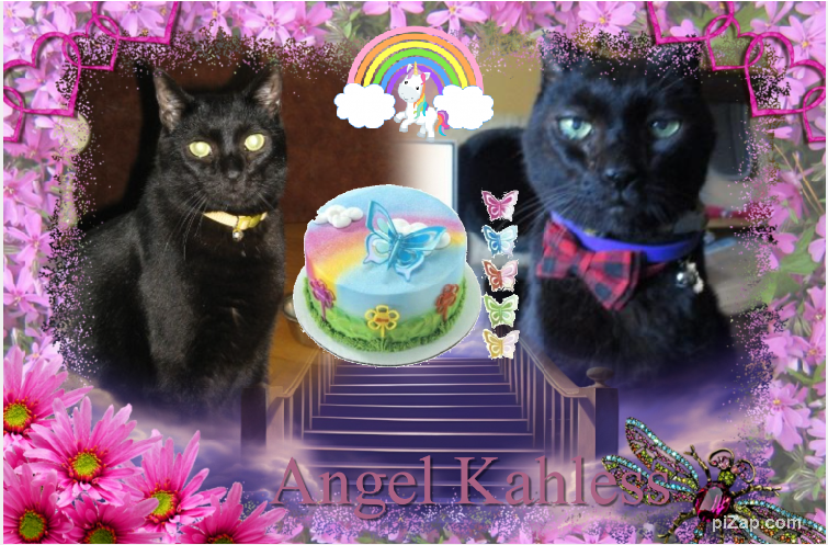 Angel Kahless of the ups98 family