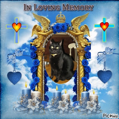 Angel Kahless of the ups98 family