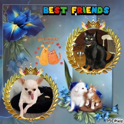 Angel Kahless of the ups98 family