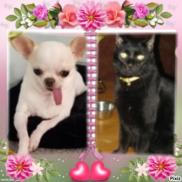 Angel Kahless of the ups98 family