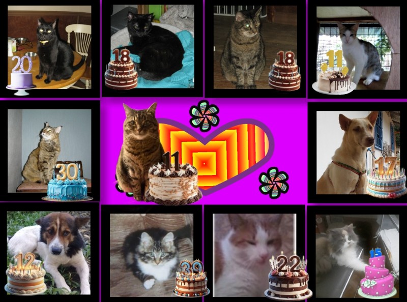 Angel Kahless of the ups98 family