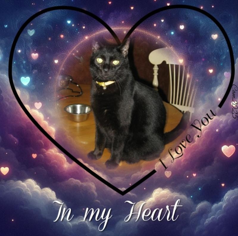 Angel Kahless of the ups98 family