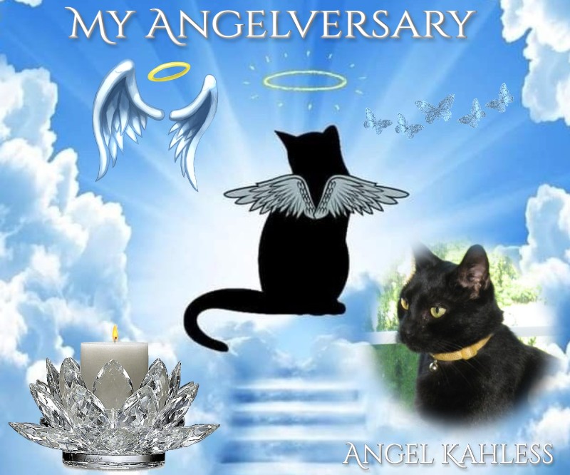 Angel Kahless of the ups98 family