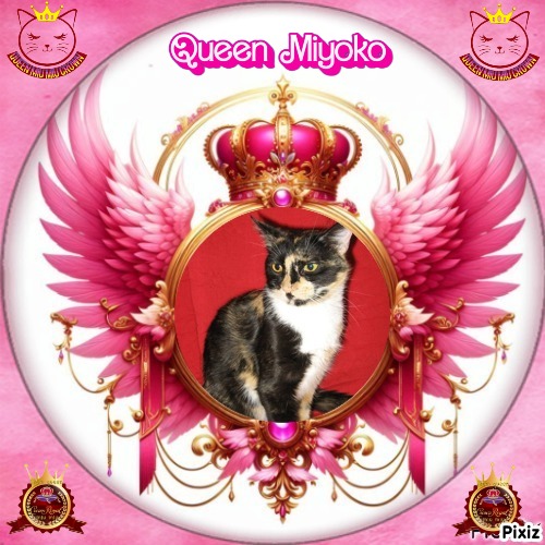 Angel Miyoko of the ups98 family