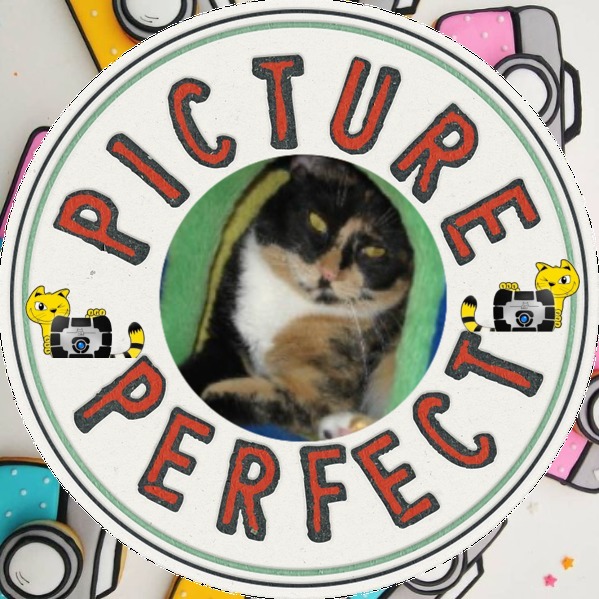 Angel Miyoko of the ups98 family