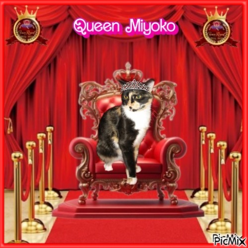 Angel Miyoko of the ups98 family