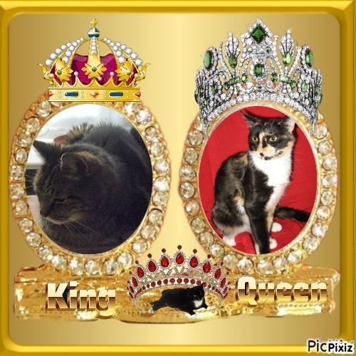 Angel Miyoko of the ups98 family