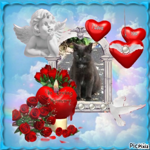 Angel Pj of the ups98 family