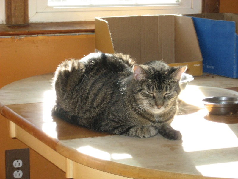 ups98 uploaded   5 year/s ago