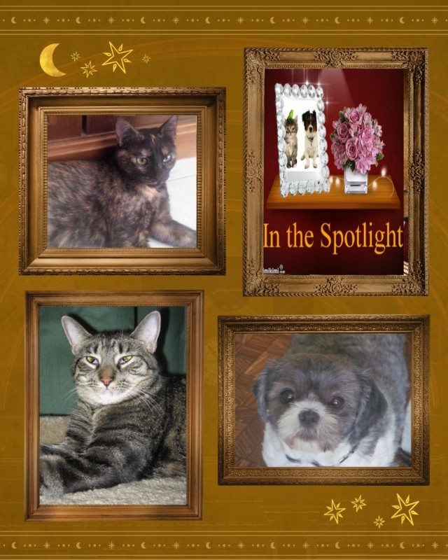 Angel Fozzy Bear of the ups98 family