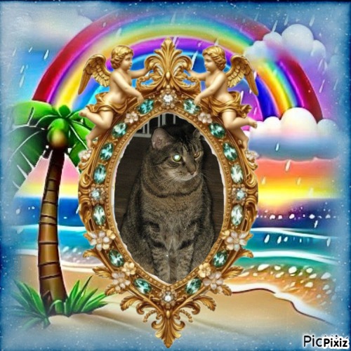 Angel Fozzy Bear of the ups98 family