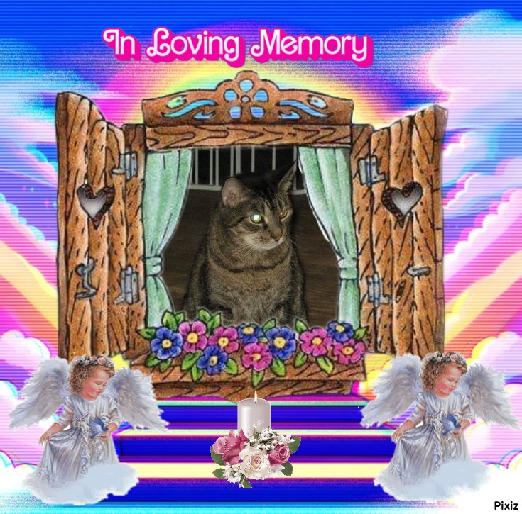 Angel Fozzy Bear of the ups98 family