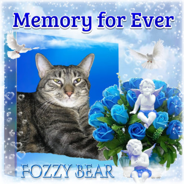Angel Fozzy Bear of the ups98 family